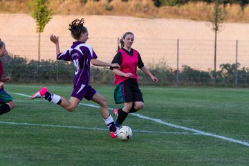 Bild 171 - B-Juniorinnen FSC Kaltenkirchen - SV Henstedt Ulzburg : Ergebnis: 2:0
